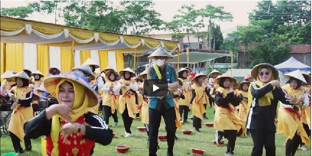 <center>HDI</center> video